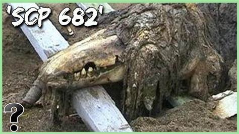 scp 682|scp 682 in real life.